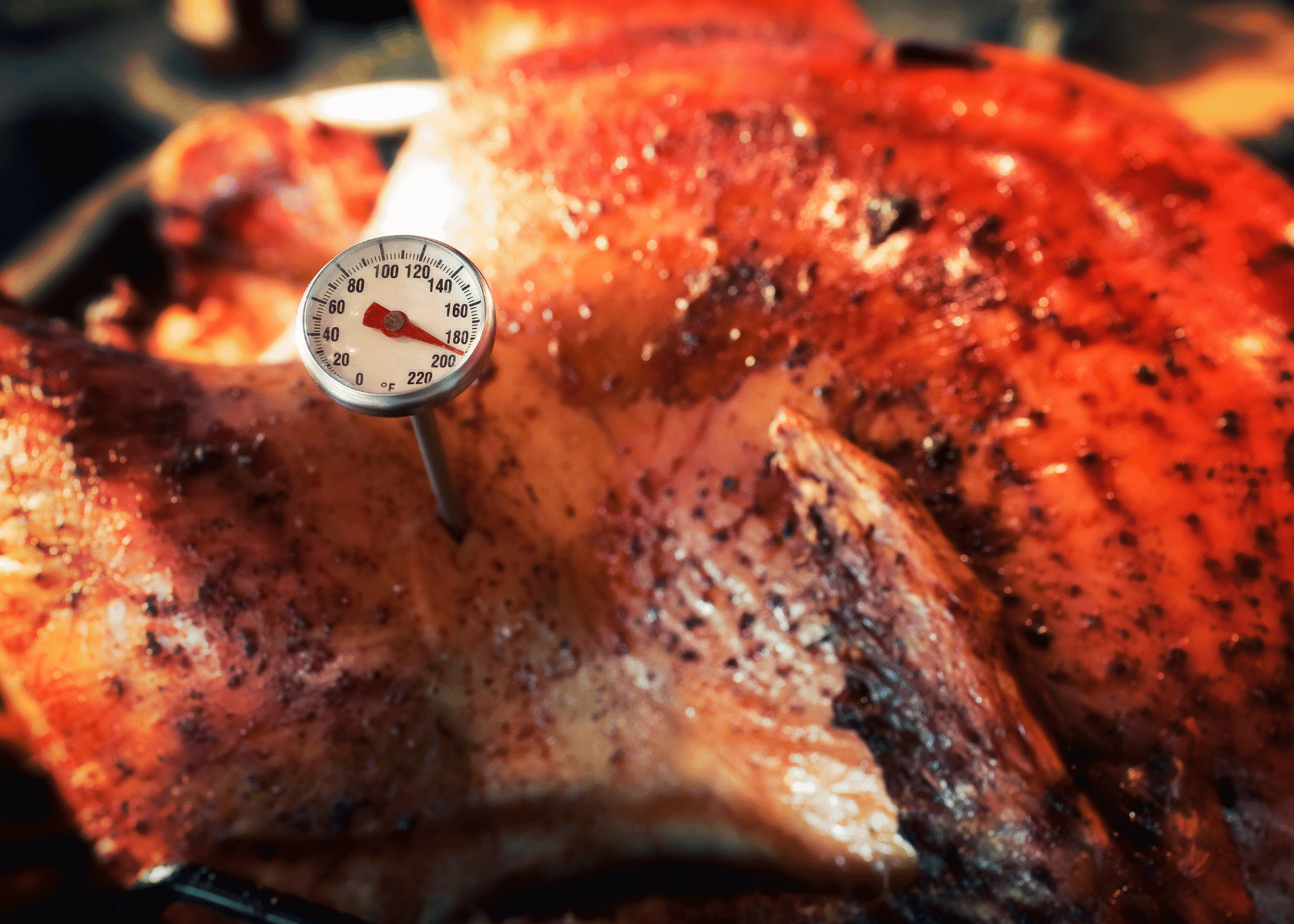 Where to Insert a Meat Thermometer in a Turkey