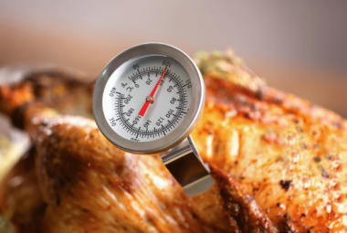 where to put meat thermometer in chicken