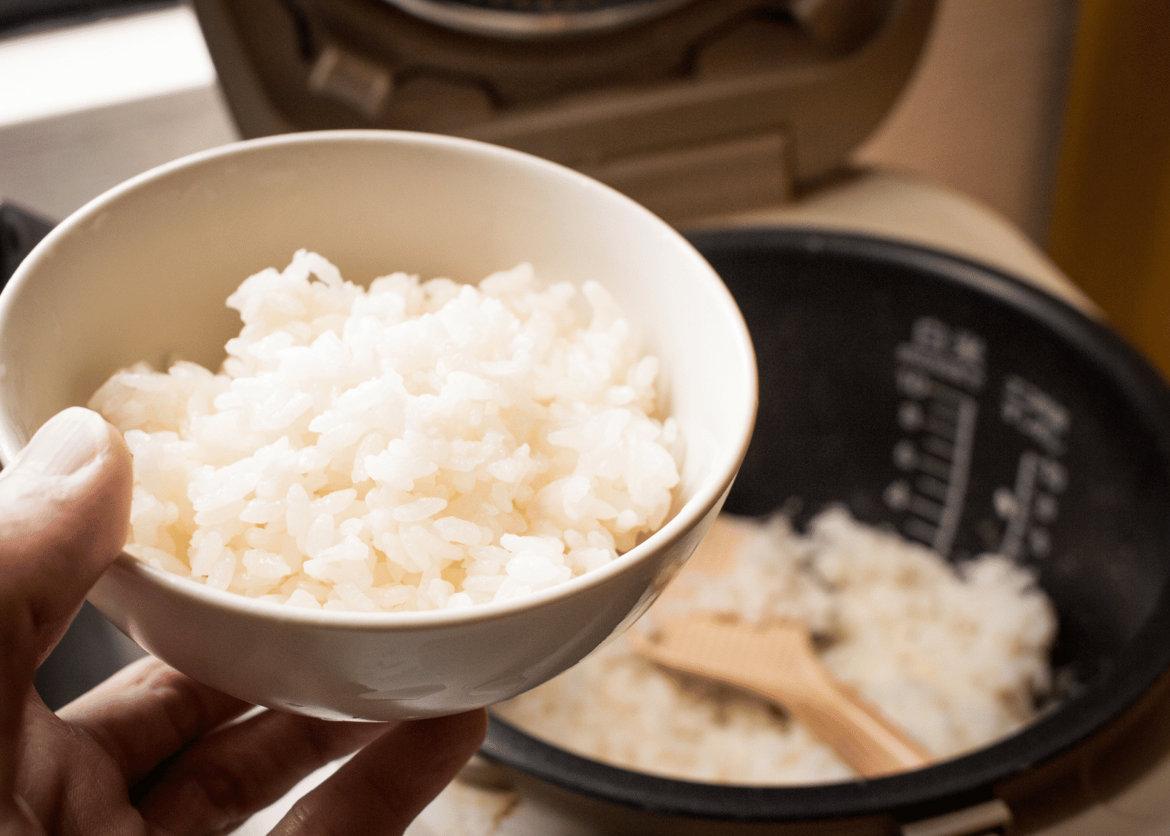 how to use cuckoo rice cooker